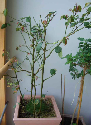 MB_11_07_02.JPG