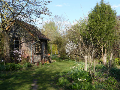 2021-04-23 Garteneinblick 1.jpg