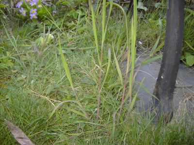 PICT3241.JPG