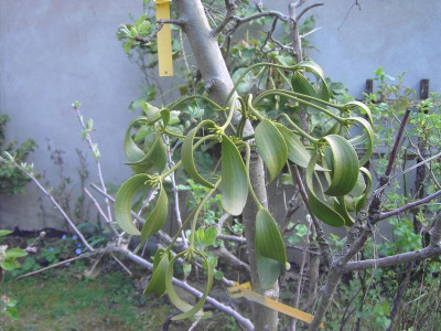 PICT3230.JPG
