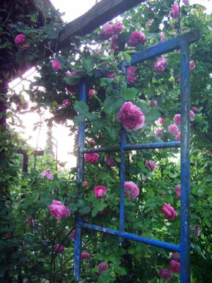 Louise_Odier_m_Fenster_07_Kopie.jpg