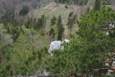 DSC_0132.JPG