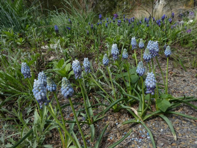 P1110541.JPG