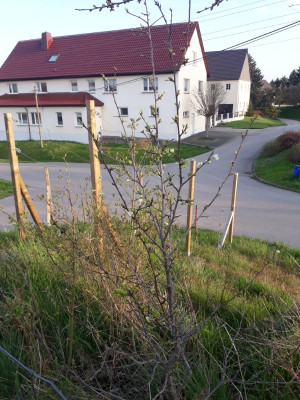 rps20210427_125828.jpg