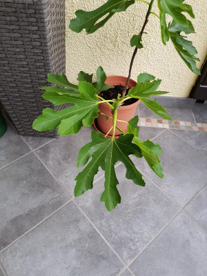 20190529_182436.jpg