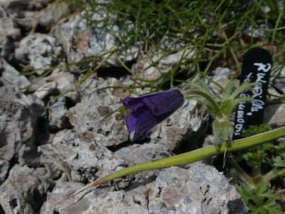 P1110577.JPG