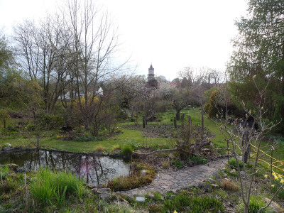 2021-04-30 Garteneinblick 2.jpg