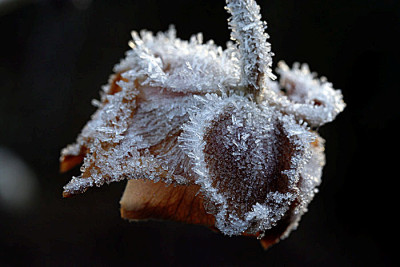 Raureif-Versuch2.jpg