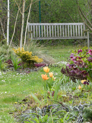 2021-05-01 Gartenimpressionen 1.jpg