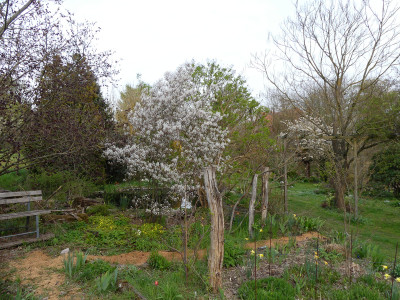 2021-05-01 Garteneinblick 6.jpg