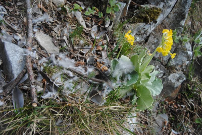 DSC_0097.JPG