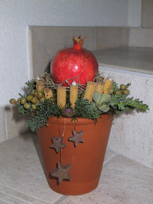 Granatapfel1.jpg