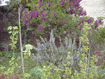 PICT3258.JPG