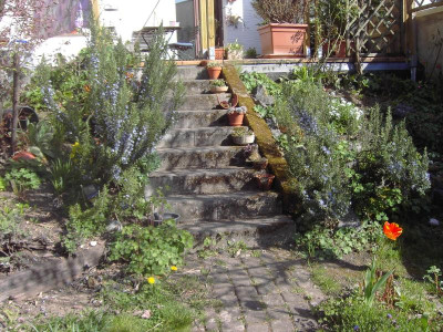PICT3256.JPG