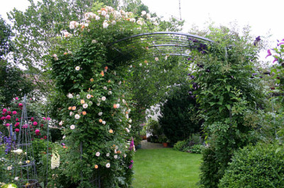 Rosenbogen0707a.jpg