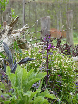 2021-05-05 Gartenimpressionen 3.jpg