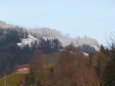 Schneefallgrenze.07.12.2007.JPG
