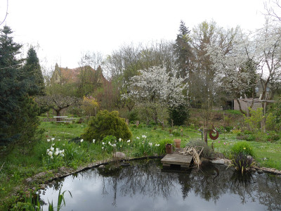 2021-05-06 Garteneinblick 2.jpg