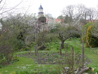 2021-05-06 Garteneinblick 4.jpg