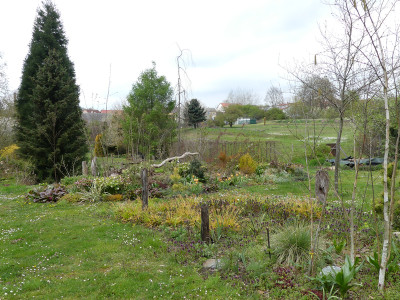 2021-05-06 Birkenhain 1.jpg