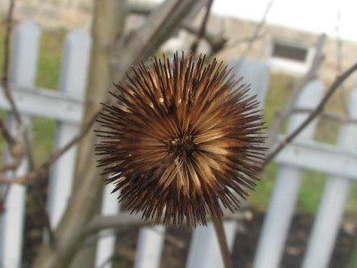 08_dezember_01.jpg