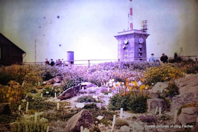 Brockengarten 1960.jpg