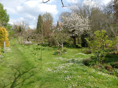 2021-05-08 Garteneinbick 2.jpg