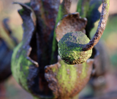 Gitter-Detail1.jpg