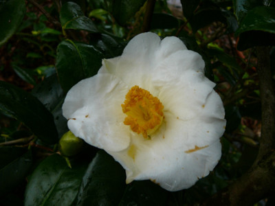 P1020247.jpg