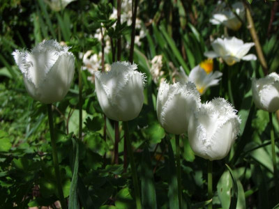 2021_0207Mai210010.JPG