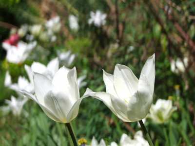 2021_0207Mai210012.JPG