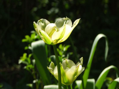 2021_0207Mai210025.JPG