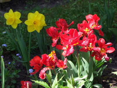 2021_0207Mai210124.JPG