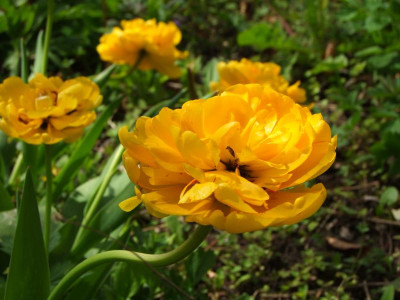2021_0207Mai210176.JPG