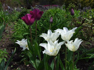 2021_0207Mai210236.JPG