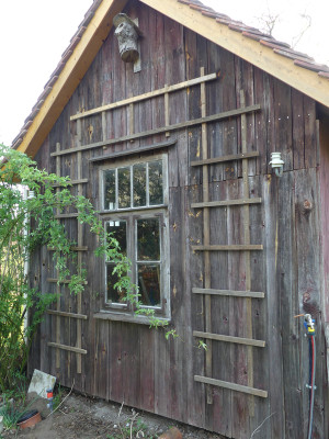 2021-05-09 Gartenhaus 2.jpg