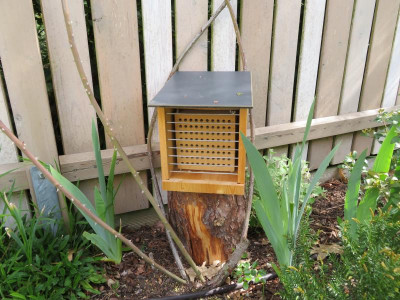 BienenHaus.jpg