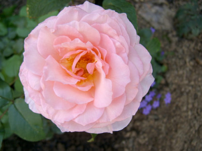 james-galway_0904-kopie.jpg