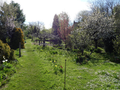 2021-05-10 Gartenimpressionen 1.jpg