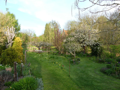 2021-05-10 Gartenimpressionen 8.jpg