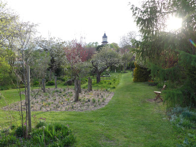 2021-05-10 Gartenimpressionen 9.jpg