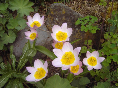 PICT3292.JPG