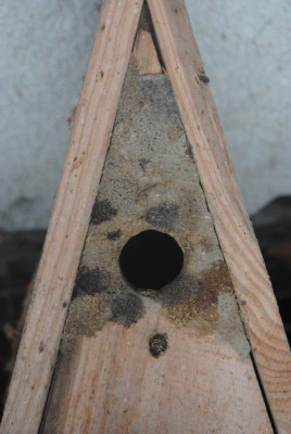 DSC_0272.JPG