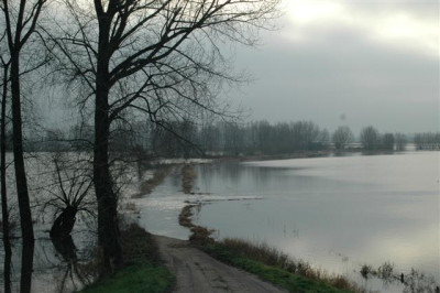 A5658_Small.JPG