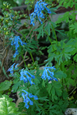 DSCF4483_5514.JPG