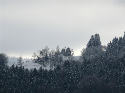 13.12.2007.3.JPG