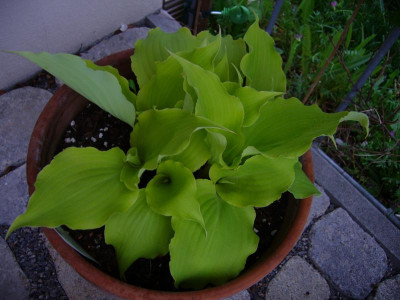 P1050422.JPG
