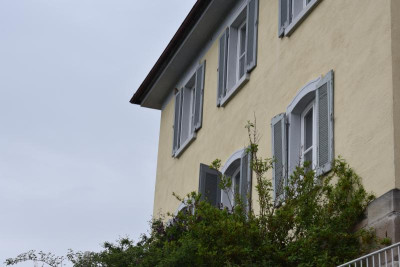 Geigersberg Ochsenbach 011.JPG