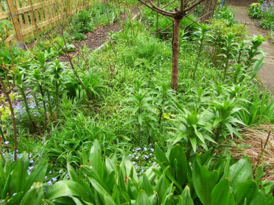 2021_020911Mai210071.JPG