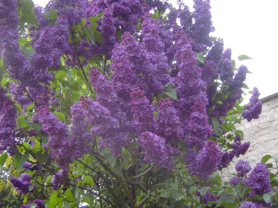PICT3276.JPG
